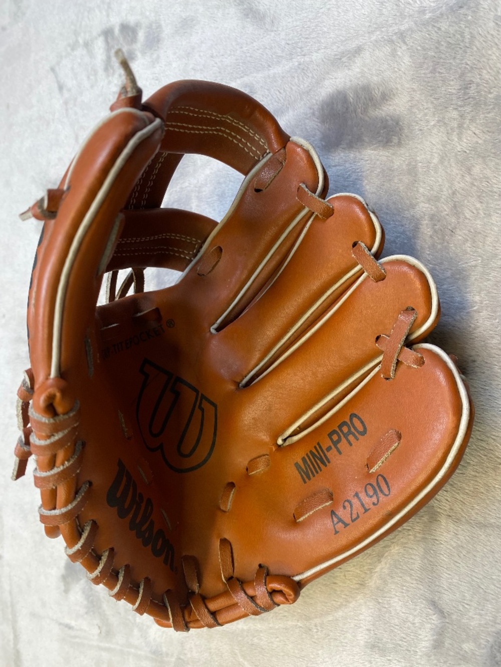 Wilson A2190 Mini-Pro Baseball Glove - Kids' Large